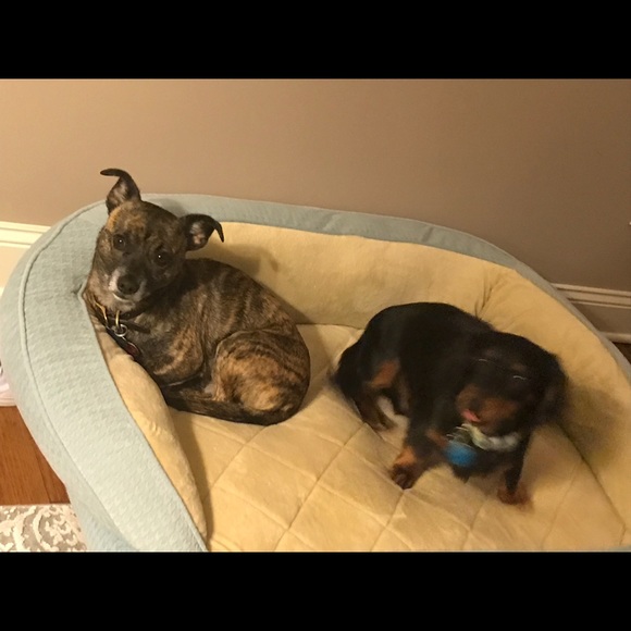 Meet your Posher, Angi - Picture 3 of 3